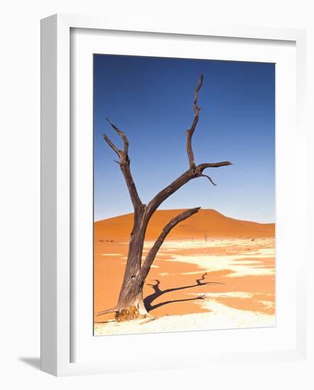 Camelthorn Tree in Dead Vlei, Namibia-Frances Gallogly-Framed Photographic Print