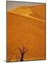 Camelthorn Trees Below Sand Dunes-Stuart Westmorland-Mounted Photographic Print