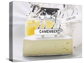 Camembert, Chèvre and Emmental with Animal Figures-Eising Studio - Food Photo and Video-Stretched Canvas