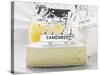 Camembert, Chèvre and Emmental with Animal Figures-Eising Studio - Food Photo and Video-Stretched Canvas