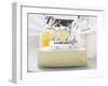 Camembert, Chèvre and Emmental with Animal Figures-Eising Studio - Food Photo and Video-Framed Photographic Print