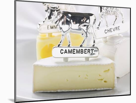 Camembert, Chèvre and Emmental with Animal Figures-Eising Studio - Food Photo and Video-Mounted Photographic Print