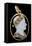 Cameo of Napoleon 1St-Nicola Morelli-Framed Stretched Canvas