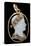 Cameo of Napoleon 1St-Nicola Morelli-Stretched Canvas