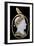 Cameo of Napoleon 1St-Nicola Morelli-Framed Giclee Print