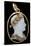 Cameo of Napoleon 1St-Nicola Morelli-Stretched Canvas