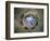 Camera Degli Sposi: Ceiling Oculus-Andrea Mantegna-Framed Giclee Print