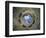 Camera Degli Sposi: Ceiling Oculus-Andrea Mantegna-Framed Giclee Print