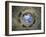 Camera Degli Sposi: Ceiling Oculus-Andrea Mantegna-Framed Giclee Print