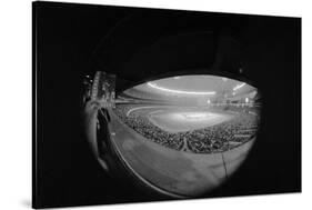 Camera Eye View of Houston Astrodome-null-Stretched Canvas