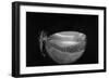 Camera Eye View of Houston Astrodome-null-Framed Photographic Print