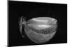 Camera Eye View of Houston Astrodome-null-Mounted Photographic Print