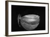 Camera Eye View of Houston Astrodome-null-Framed Photographic Print