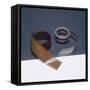 Camera Film-null-Framed Stretched Canvas