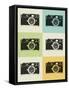 Camera Grid Poster-NaxArt-Framed Stretched Canvas