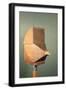 Black Frame