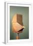 White Frame