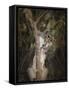 Camera Shy Squirrel-Jai Johnson-Framed Stretched Canvas