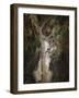 Camera Shy Squirrel-Jai Johnson-Framed Giclee Print
