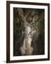 Camera Shy Squirrel-Jai Johnson-Framed Giclee Print