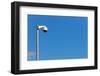 Camera, Video Surveillance-Catharina Lux-Framed Photographic Print