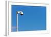 Camera, Video Surveillance-Catharina Lux-Framed Photographic Print