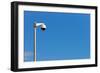 Camera, Video Surveillance-Catharina Lux-Framed Photographic Print