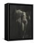 Camera Work avril 1910 : Adam et Eve-null-Framed Stretched Canvas