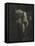 Camera Work avril 1910 : Adam et Eve-null-Framed Stretched Canvas