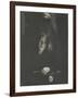 Camera Work july 1908 : Girl with Rose-Clarence White-Framed Giclee Print