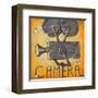 Camera-Janet Kruskamp-Framed Art Print