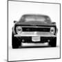 Camero 1-Matt McCarthy-Mounted Art Print