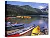 Cameron Creek, Wateron Lakes National Park, Alberta, Canada-Chuck Haney-Stretched Canvas