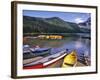 Cameron Creek, Wateron Lakes National Park, Alberta, Canada-Chuck Haney-Framed Photographic Print