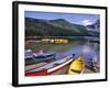 Cameron Creek, Wateron Lakes National Park, Alberta, Canada-Chuck Haney-Framed Photographic Print