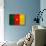 Cameroon Flag Design with Wood Patterning - Flags of the World Series-Philippe Hugonnard-Art Print displayed on a wall