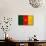 Cameroon Flag Design with Wood Patterning - Flags of the World Series-Philippe Hugonnard-Art Print displayed on a wall