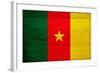 Cameroon Flag Design with Wood Patterning - Flags of the World Series-Philippe Hugonnard-Framed Art Print