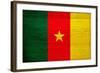 Cameroon Flag Design with Wood Patterning - Flags of the World Series-Philippe Hugonnard-Framed Art Print