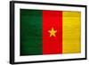 Cameroon Flag Design with Wood Patterning - Flags of the World Series-Philippe Hugonnard-Framed Art Print