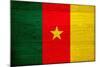 Cameroon Flag Design with Wood Patterning - Flags of the World Series-Philippe Hugonnard-Mounted Art Print