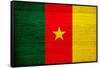 Cameroon Flag Design with Wood Patterning - Flags of the World Series-Philippe Hugonnard-Framed Stretched Canvas