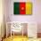 Cameroon Flag Design with Wood Patterning - Flags of the World Series-Philippe Hugonnard-Stretched Canvas displayed on a wall