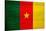 Cameroon Flag Design with Wood Patterning - Flags of the World Series-Philippe Hugonnard-Stretched Canvas