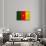 Cameroon Flag Design with Wood Patterning - Flags of the World Series-Philippe Hugonnard-Art Print displayed on a wall