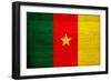 Cameroon Flag Design with Wood Patterning - Flags of the World Series-Philippe Hugonnard-Framed Art Print