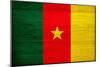 Cameroon Flag Design with Wood Patterning - Flags of the World Series-Philippe Hugonnard-Mounted Art Print