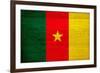 Cameroon Flag Design with Wood Patterning - Flags of the World Series-Philippe Hugonnard-Framed Art Print