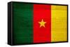 Cameroon Flag Design with Wood Patterning - Flags of the World Series-Philippe Hugonnard-Framed Stretched Canvas