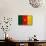 Cameroon Flag Design with Wood Patterning - Flags of the World Series-Philippe Hugonnard-Stretched Canvas displayed on a wall